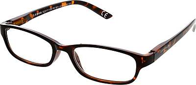 RMP 207 06 RMP 207 06